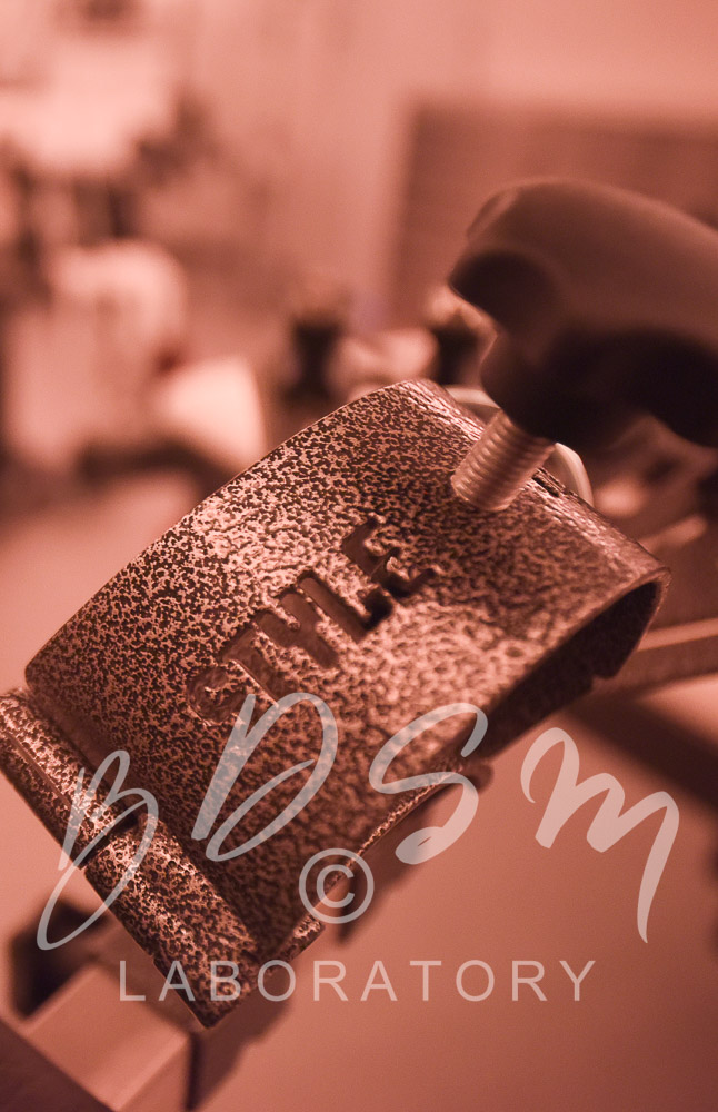 BDSM Laboratory Experience