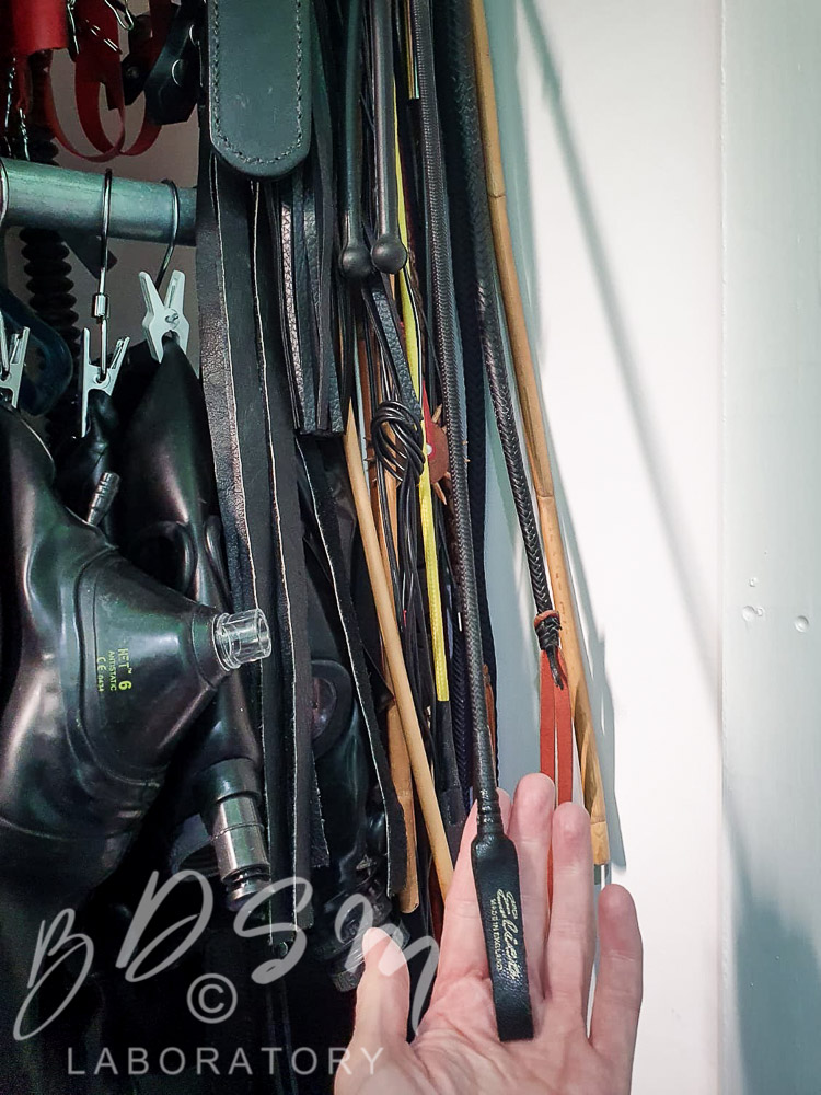 Elico Leather whip and various BDSM kit