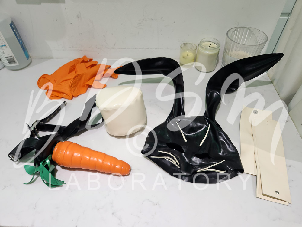 orange carrot-shaped dildo and bunny ears