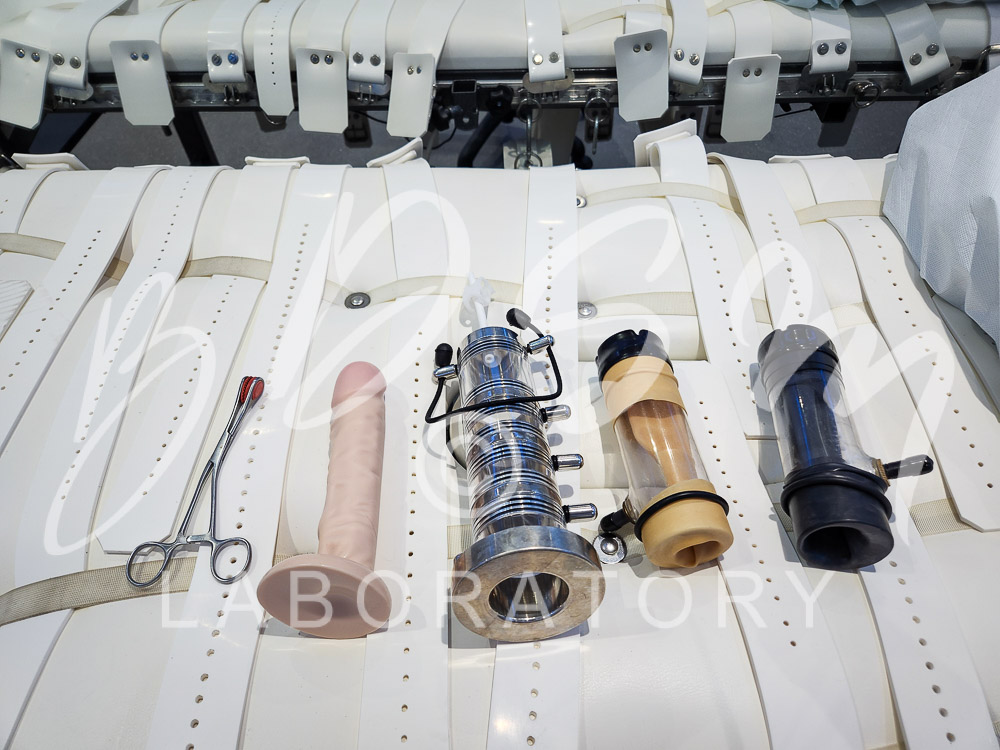 Dildos on a BDSM bench