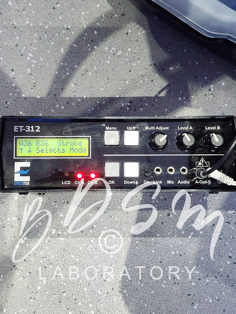 electrostim device at the BDSM Laboratory