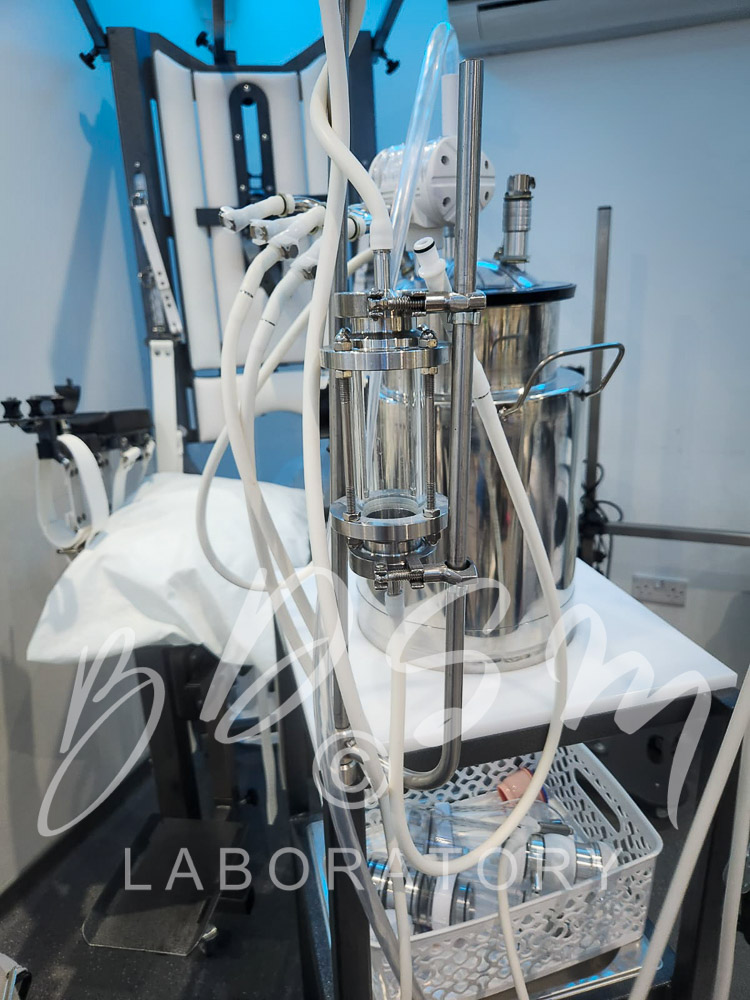 Medical equipment at the BDSM Laboratory