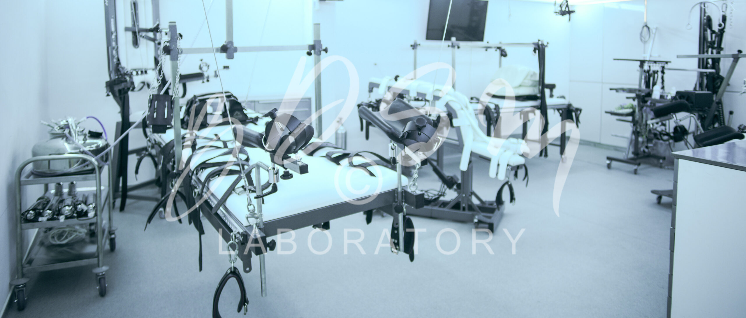 BDSM Laboratory